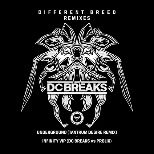 Infinity VIP / Underground (Tantrum Desire remix)