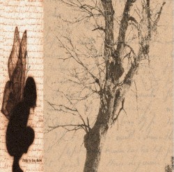 Memoir of a dead fairy