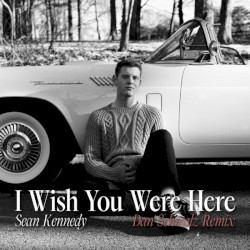 I Wish You Were Here (Dan Schmalz Remix)