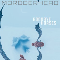 Goodbye Horses