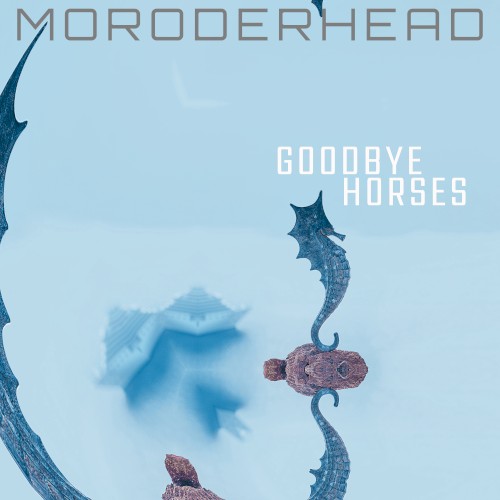 Goodbye Horses