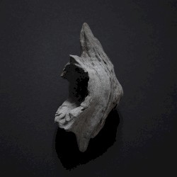 Anoxic