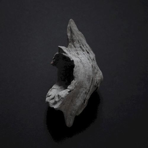 Anoxic