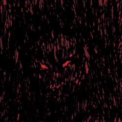 Dies Iræ Xerox