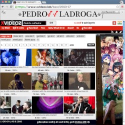 XVIDEOS