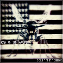 Rise of the Wasps