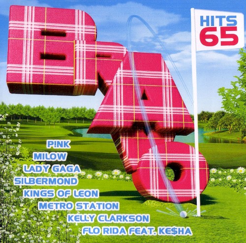Bravo Hits 65