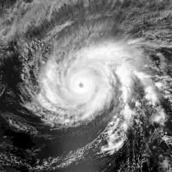 Maysak