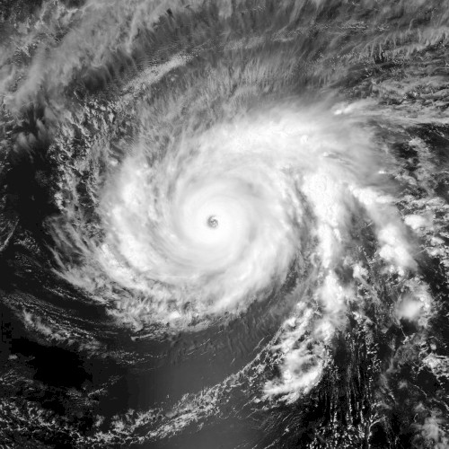 Maysak