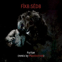 Puritan (Plastikstrom)