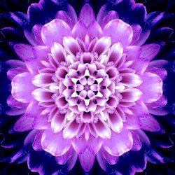 Soul Healing