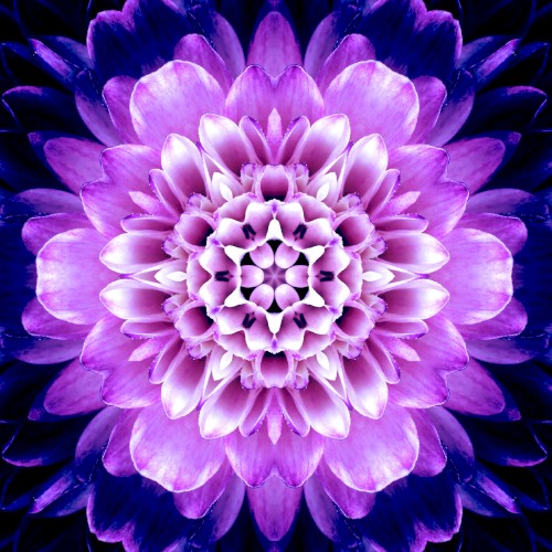Soul Healing