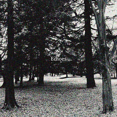 Echoes