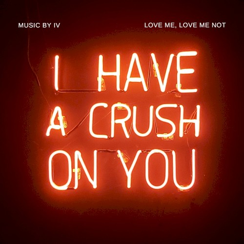 I Have a Crush on YOU