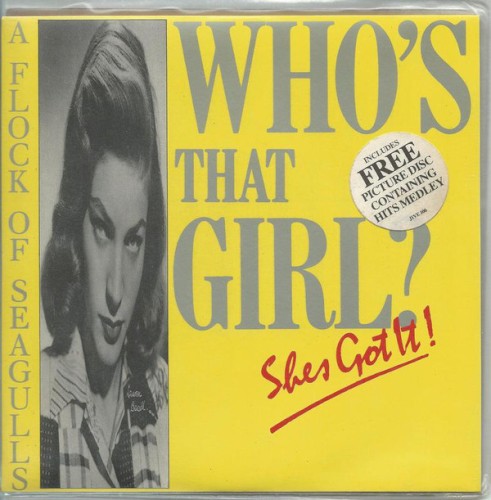 Who’s That Girl (She’s Got It)