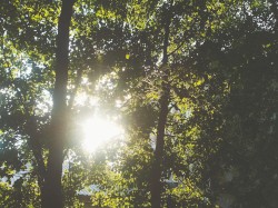 sunbathed, summer memories