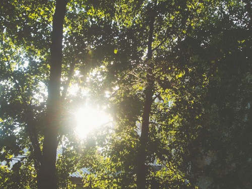 sunbathed, summer memories
