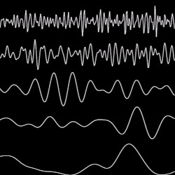 Elektrical Aktivity EP6