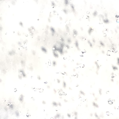 Schnee von gestern