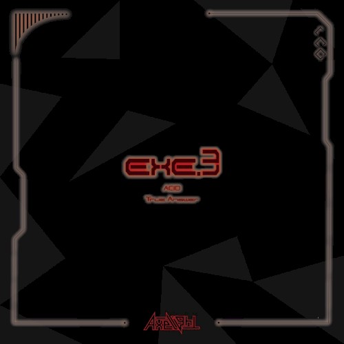 EXE.3