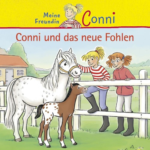 Conni und das neue Fohlen