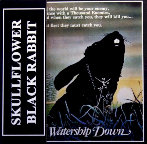 Black Rabbit