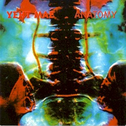Anatomy