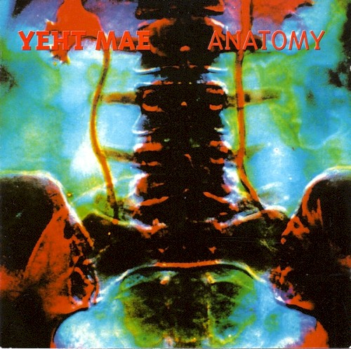 Anatomy