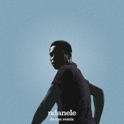 ndanele (Dwson remix)