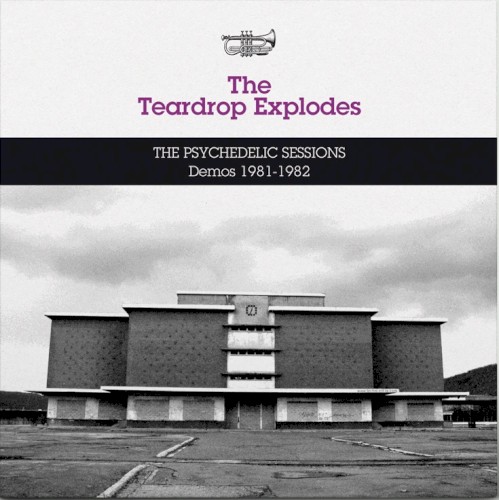 The Psychedelic Sessions Demos 1981–1982