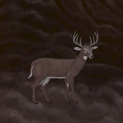 Covers (Vol. 1)