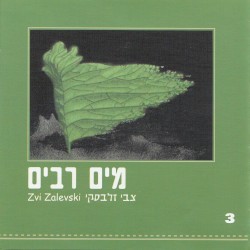 מים רבים