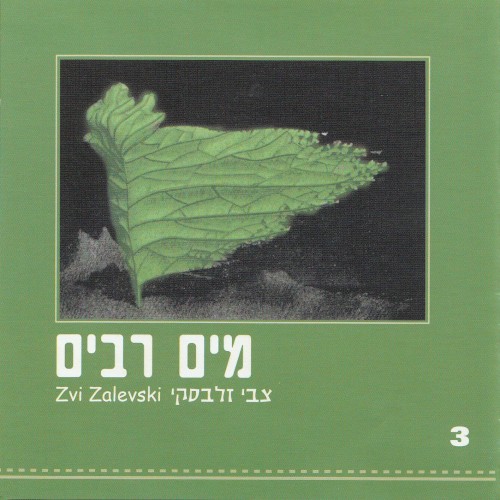 מים רבים