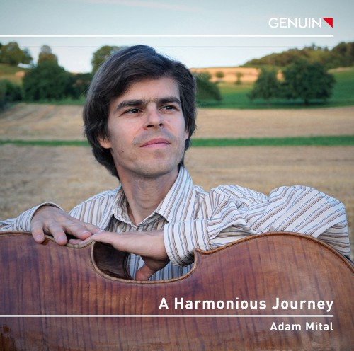 A Harmonious Journey