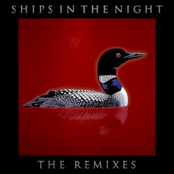 The Remixes