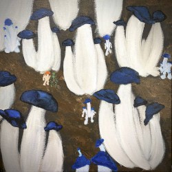 Pleurotos Ostreatos (Blue Oyster Mushroom)
