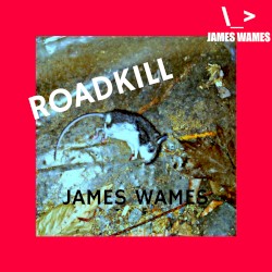 Roadkill