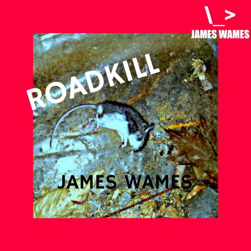 Roadkill