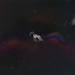 bugtape