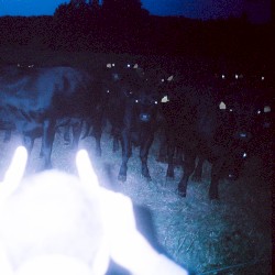 Endless Night