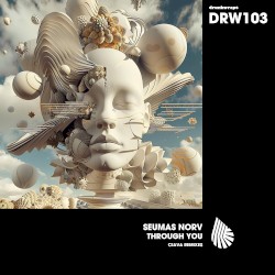 Through you (Ciava Remix)