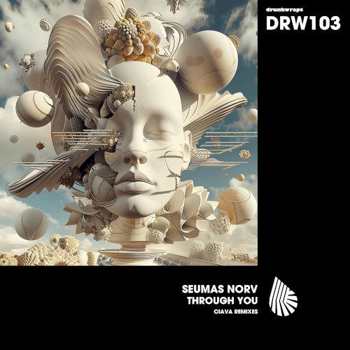 Through you (Ciava Remix)