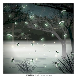 Lightless Room