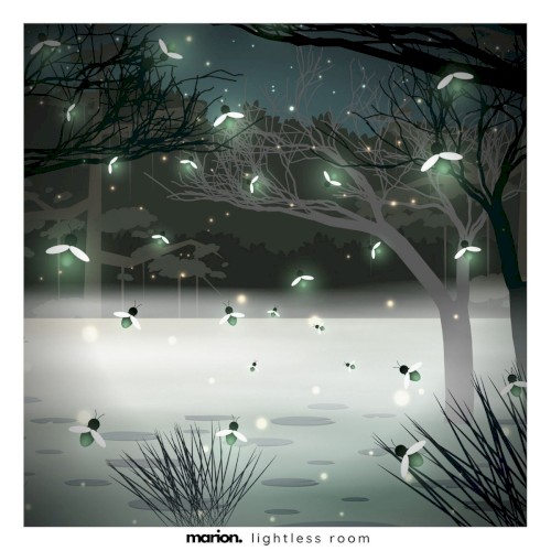 Lightless Room