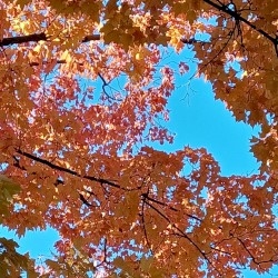 Last Days of Summer