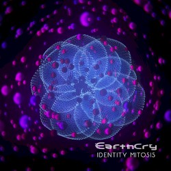Identity Mitosis