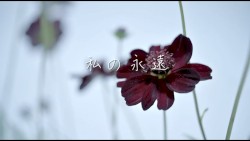 私の永遠