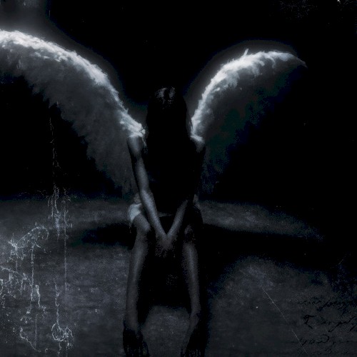 velour wings