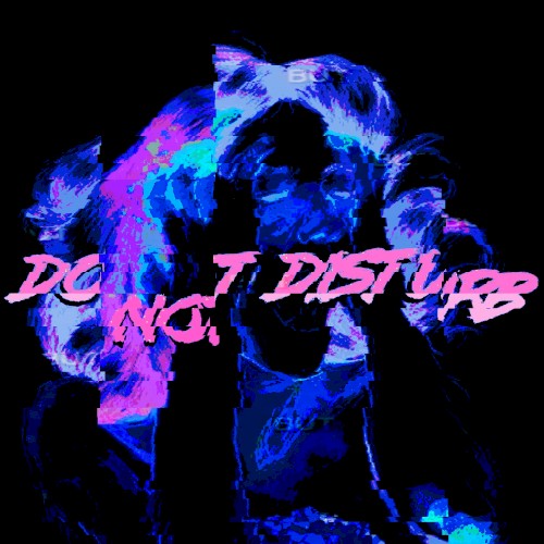 Do Not Disturb