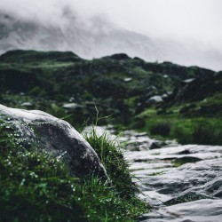 Second Nature